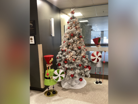 LCN_2024_01_27_RM_DecorationsNoel_01