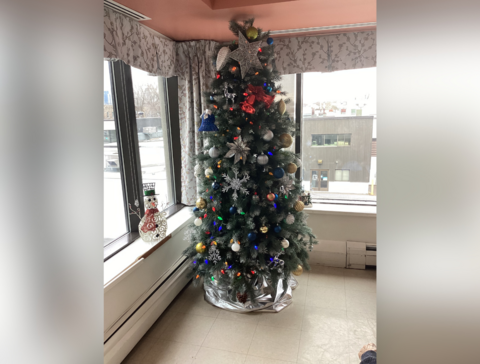 LCN_2024_01_27_RM_DecorationsNoel_02