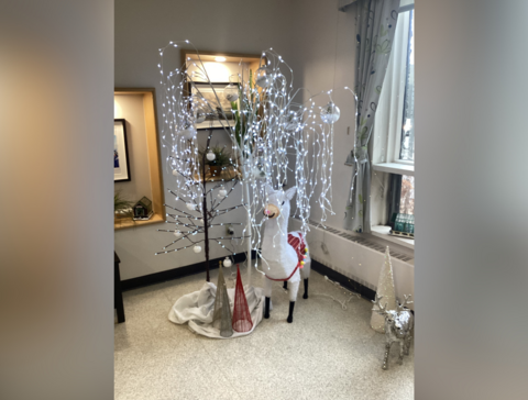 LCN_2024_01_27_RM_DecorationsNoel_03