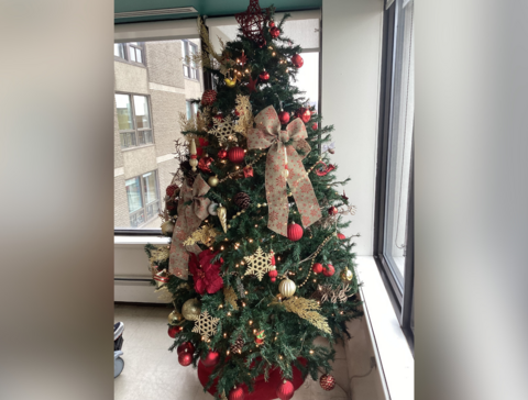 LCN_2024_01_27_RM_DecorationsNoel_04