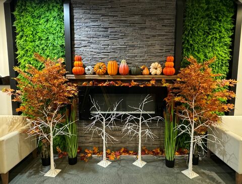 LCN_2024_11_JDLL_Halloween_3