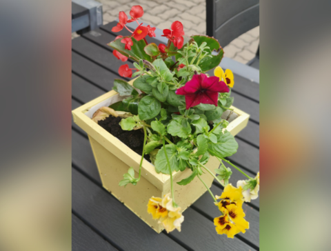 LCN_YB_2024_09_Jardinage_4